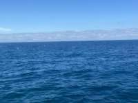 Great day of scuba diving in Key Largo with Rainbow Reef on molasses reef tropical serenity 2021 12 03 r11937 1