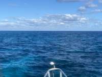Great day of scuba diving in Key Largo with Rainbow Reef on molasses reef tropical serenity 2021 12 24 r11991 1