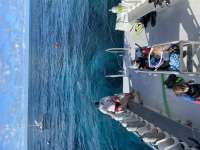 Great day of scuba diving in Key Largo with Rainbow Reef on permit ledges tropical voyager 2021 12 30 r12006 1