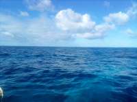 Great day of scuba diving in Key Largo with Rainbow Reef on spanish anchor tropical serenity 2021 12 26 r11996 1
