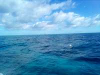 Great day of scuba diving in Key Largo with Rainbow Reef on spanish anchor tropical serenity 2021 12 26 r11996 2