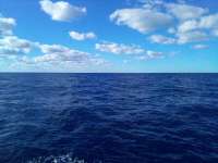 Great day of scuba diving in Key Largo with Rainbow Reef on spiegel grove tropical destiny 2021 12 24 r11990 1