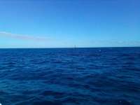 Great day of scuba diving in Key Largo with Rainbow Reef on spiegel grove tropical destiny 2021 12 24 r11990 2