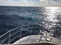 Great day of scuba diving in Key Largo with Rainbow Reef on spiegel grove tropical odyssey 2021 12 11 r11959 1