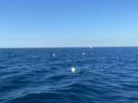 Great day of scuba diving in Key Largo with Rainbow Reef on spiegel grove tropical serenity 2021 12 03 r11934 1