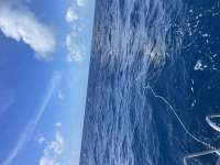 Great day of scuba diving in Key Largo with Rainbow Reef on spiegel grove tropical serenity 2021 12 17 r11972 1