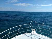 Great day of scuba diving in Key Largo with Rainbow Reef on banana patch tropical adventure 2021 02 05 r10655 1