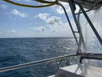 Great day of scuba diving in Key Largo with Rainbow Reef on benwood wreck tropical legend 2021 02 14 r10705 1