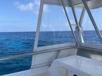 Great day of scuba diving in Key Largo with Rainbow Reef on christmastree cave tropical serenity 2021 02 17 r10727 1