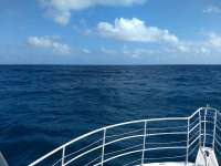 Great day of scuba diving in Key Largo with Rainbow Reef on conch wall tropical odyssey 2021 02 12 r10692 1