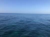 Great day of scuba diving in Key Largo with Rainbow Reef on eagle ray alley tropical serenity 2021 02 08 r10672 1