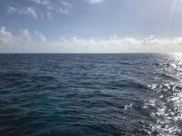 Great day of scuba diving in Key Largo with Rainbow Reef on fire coral cave tropical odyssey 2021 02 15 r10709 1