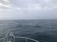 Great day of scuba diving in Key Largo with Rainbow Reef on french twist santana 2021 02 06 r10657 1
