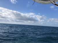 Great day of scuba diving in Key Largo with Rainbow Reef on north star santana 2021 02 05 r10654 1