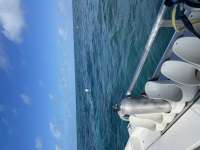 Great day of scuba diving in Key Largo with Rainbow Reef on north star tropical odyssey 2021 02 13 r10702 1