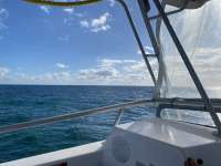 Great day of scuba diving in Key Largo with Rainbow Reef on pickles reef tropical legend 2021 02 05 r10652 1