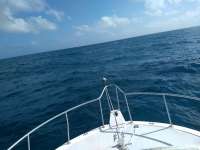 Great day of scuba diving in Key Largo with Rainbow Reef on snapper ledge tropical serenity 2021 02 13 r10699 1