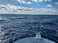 Great day of scuba diving in Key Largo with Rainbow Reef on spiegel grove tropical adventure 2021 02 05 r10651 1