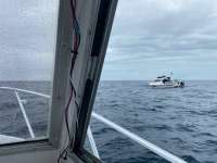 Great day of scuba diving in Key Largo with Rainbow Reef on spiegel grove tropical explorer 2021 02 06 r10662 1