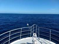 Great day of scuba diving in Key Largo with Rainbow Reef on spiegel grove tropical odyssey 2021 02 25 r10743 1