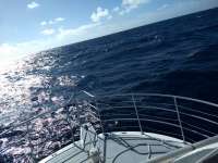 Great day of scuba diving in Key Largo with Rainbow Reef on spiegel grove tropical odyssey 2021 02 27 r10750 1