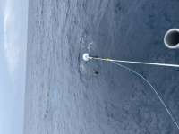 Great day of scuba diving in Key Largo with Rainbow Reef on uscgc bibb tropical adventure 2021 02 06 r10658 1