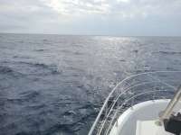 Great day of scuba diving in Key Largo with Rainbow Reef on uscgc bibb tropical odyssey 2021 02 17 r10725 1