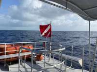 Great day of scuba diving in Key Largo with Rainbow Reef on uscgc duane tropical odyssey 2021 02 19 r10728 1