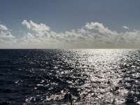 Great day of scuba diving in Key Largo with Rainbow Reef on uscgc duane tropical odyssey 2021 02 26 r10748 1