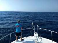 Great day of scuba diving in Key Largo with Rainbow Reef on uscgc duane tropical serenity 2021 02 07 r10668 1