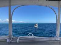 Great day of scuba diving in Key Largo with Rainbow Reef on uscgc duane tropical serenity 2021 02 25 r10744 1