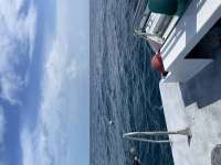 Great day of scuba diving in Key Largo with Rainbow Reef on woodys tropical adventure 2021 02 16 r10717 1