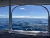 Great day of scuba diving in Key Largo with Rainbow Reef on benwood wreck tropical serenity 2021 01 22 r10593 1