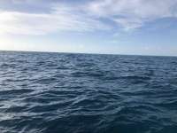 Great day of scuba diving in Key Largo with Rainbow Reef on christmastree cave tropical explorer 2021 01 03 r10512 1