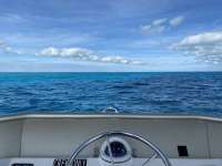 Great day of scuba diving in Key Largo with Rainbow Reef on conch pillars santana 2021 01 20 r10587 1
