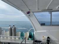 Great day of scuba diving in Key Largo with Rainbow Reef on conch wall tropical explorer 2021 01 15 r10566 1