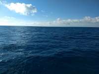 Great day of scuba diving in Key Largo with Rainbow Reef on crf nursery tropical voyager 2021 01 26 r10609 1