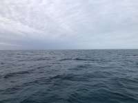 Great day of scuba diving in Key Largo with Rainbow Reef on drift french tropical explorer 2021 01 17 r10574 1