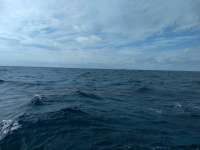 Great day of scuba diving in Key Largo with Rainbow Reef on drift molasses tropical explorer 2021 01 11 r10549 1