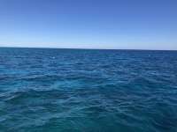 Great day of scuba diving in Key Largo with Rainbow Reef on eagle ray alley tropical serenity 2021 01 05 r10518 1