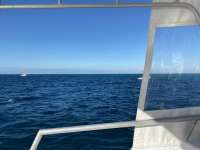 Great day of scuba diving in Key Largo with Rainbow Reef on eagle ray alley tropical serenity 2021 01 10 r10540 1