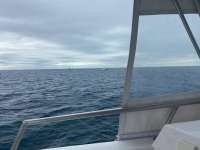 Great day of scuba diving in Key Largo with Rainbow Reef on eagle ray alley tropical serenity 2021 01 14 r10561 1
