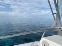 Great day of scuba diving in Key Largo with Rainbow Reef on hole in the wall tropical odyssey 2021 01 17 r10581 1