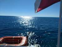 Great day of scuba diving in Key Largo with Rainbow Reef on minnow cave tropical legend 2021 01 06 r10523 1