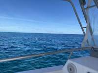 Great day of scuba diving in Key Largo with Rainbow Reef on molasses reef tropical odyssey 2021 01 21 r10590 1