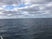 Great day of scuba diving in Key Largo with Rainbow Reef on north star santana 2021 01 22 r10591 1