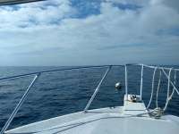 Great day of scuba diving in Key Largo with Rainbow Reef on permit ledges tropical explorer 2021 01 04 r10516 1