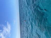 Great day of scuba diving in Key Largo with Rainbow Reef on sand island tropical destiny 2021 01 13 r10554 1