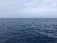 Great day of scuba diving in Key Largo with Rainbow Reef on spiegel grove santana 2021 01 04 r10514 1