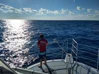 Great day of scuba diving in Key Largo with Rainbow Reef on spiegel grove tropical odyssey 2021 01 07 r10524 1